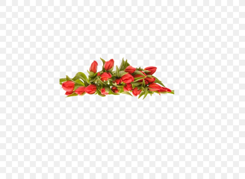 Flower Bouquet Desktop Wallpaper Clip Art, PNG, 600x600px, Flower Bouquet, Bell Peppers And Chili Peppers, Cayenne Pepper, Chili Pepper, Cut Flowers Download Free