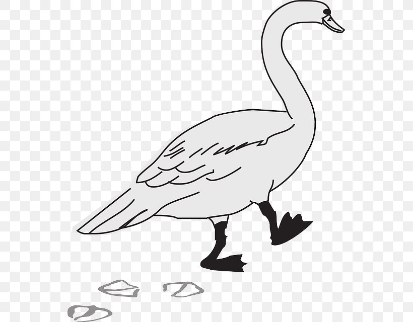 Goose Duck Bird Clip Art, PNG, 551x640px, Goose, Animal Track, Anseriformes, Artwork, Beak Download Free