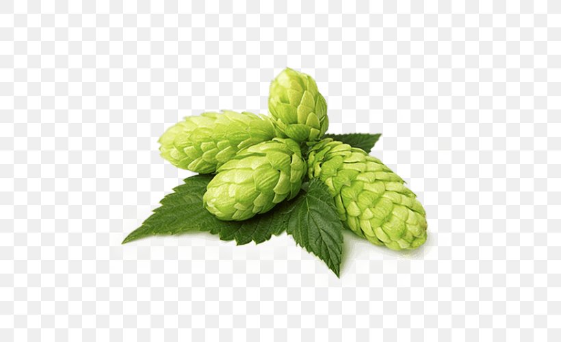 Beer Lager Common Hop Brown Ale, PNG, 500x500px, Beer, Ale, Beer Brewing Grains Malts, Brewery, Brown Ale Download Free