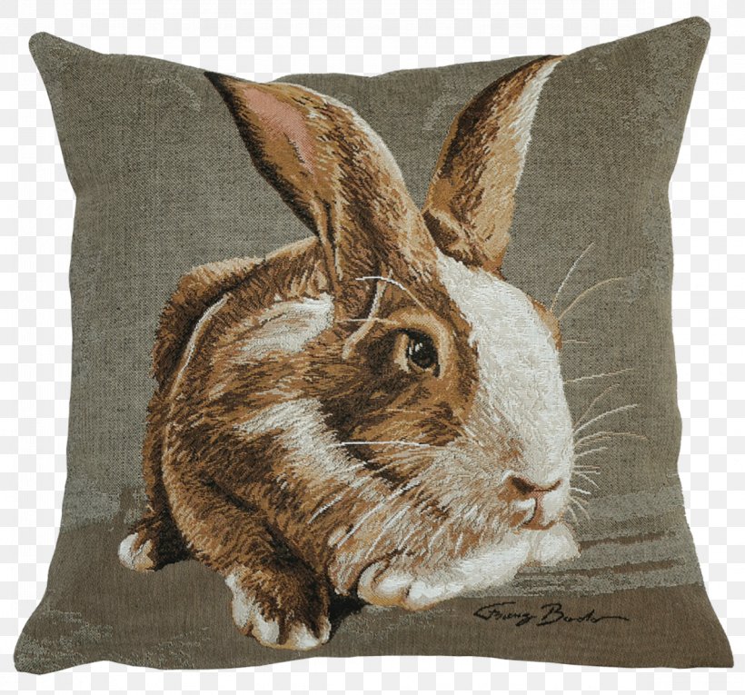 Cushion Domestic Rabbit Throw Pillows Slipcover, PNG, 1181x1103px, Cushion, Belgium, Domestic Rabbit, Easter, Fauna Download Free