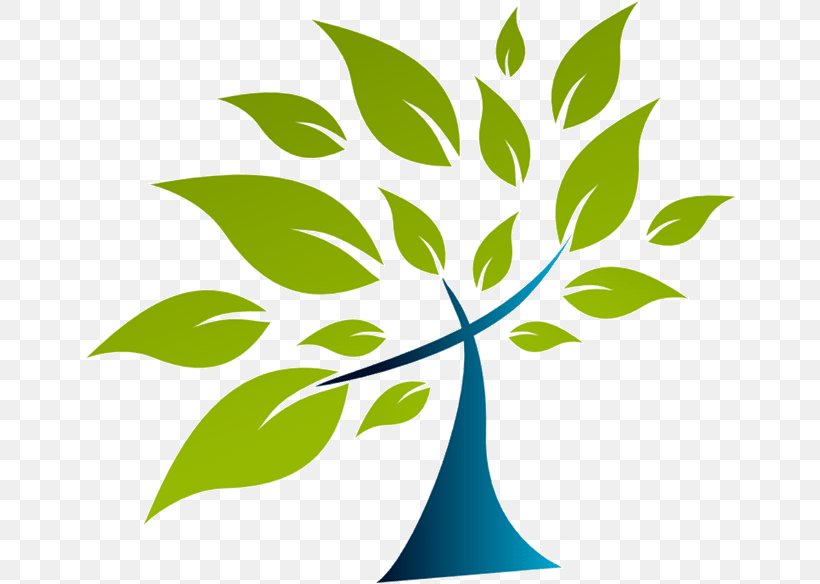 Bible Baptist Church Of Charlesbourg Baptists Tree Of Life, PNG, 652x584px, Bible, Baptists, Branch, Charlesbourg Quebec City, Christian Church Download Free