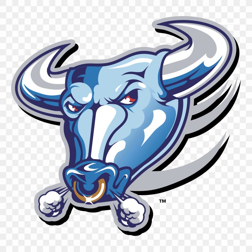 Buffalo Bulls Football Buffalo Bills Logo, PNG, 2400x2400px, Buffalo Bulls Football, Automotive Design, Buffalo, Buffalo Bills, Buffalo Bulls Download Free