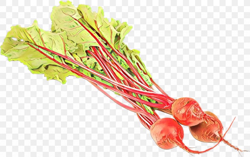 Carrot Cartoon, PNG, 974x615px, Greens, Beetroots, Carrot, Food, Local Food Download Free