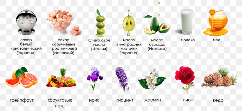 Exfoliation Skin Floral Design Artikel, PNG, 3600x1653px, Exfoliation, Artikel, Commodity, Cream, Cut Flowers Download Free