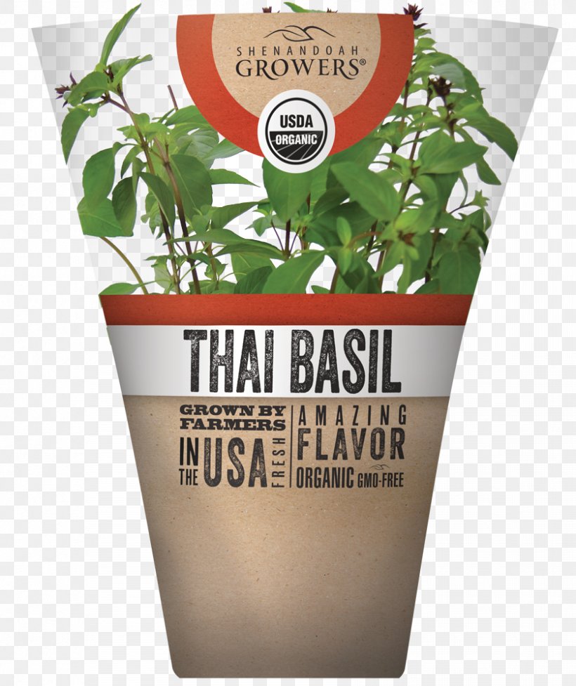 Herb Thai Cuisine Thai Basil Organic Food, PNG, 839x1000px, Herb, Basil, Brand, Chives, Common Sage Download Free