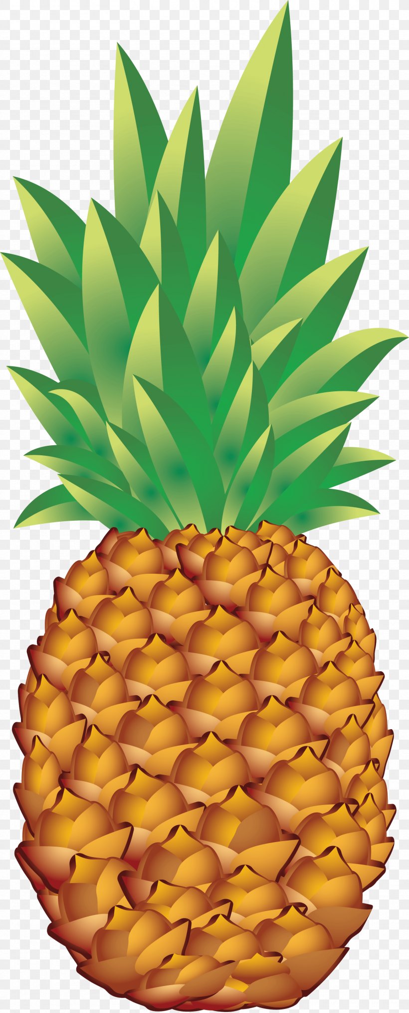 Juice Pineapple Fruit, PNG, 1716x4243px, Pineapple, Ananas, Bromeliaceae, Flowering Plant, Food Download Free