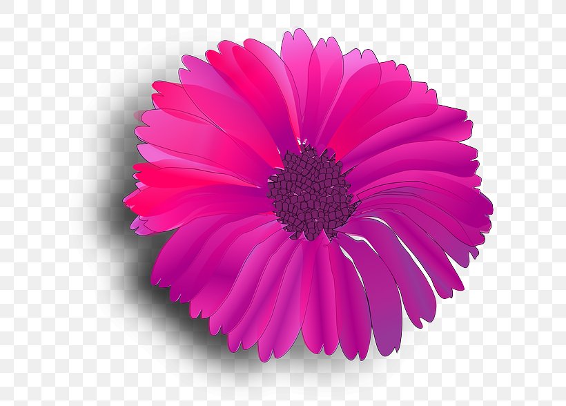 Pink Flowers Pink Flowers Common Daisy Clip Art, PNG, 640x588px, Flower, Annual Plant, Aster, Common Daisy, Cut Flowers Download Free