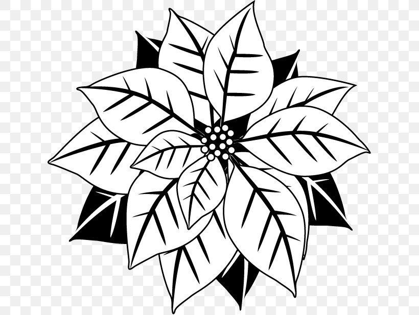 Poinsettia Christmas Black And White Flower Clip Art, PNG, 633x617px, Poinsettia, Area, Artwork, Black And White, Christmas Download Free