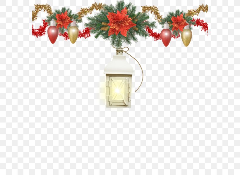 Christmas Flower, PNG, 600x600px, Christmas, Branch, Christmas Decoration, Christmas Ornament, Decor Download Free