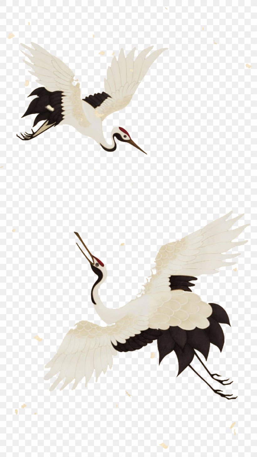 Crane Illustration, PNG, 1200x2130px, Crane, Beak, Bird, Ciconiiformes, Crane Like Bird Download Free