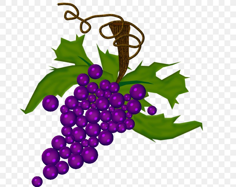 Grape Drawing Auglis, PNG, 684x649px, Grape, Auglis, Beaujolais Nouveau, Blog, Drawing Download Free