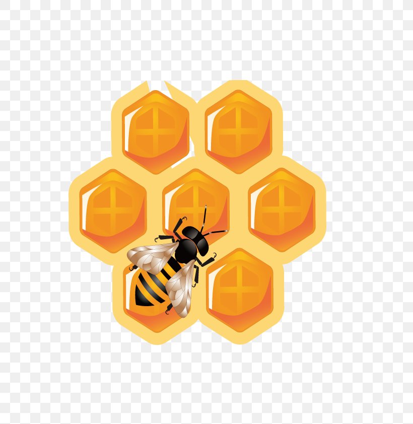 Honey Bee Honeycomb Icon, PNG, 800x842px, Honey Bee, Bee, Beehive, Honey, Honeycomb Download Free