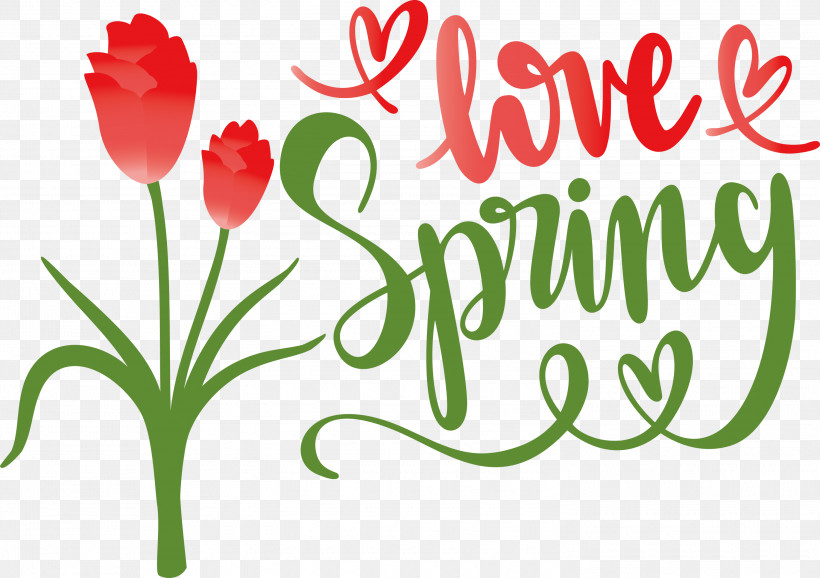 Love Spring Spring, PNG, 3000x2117px, Spring, Eric Nam, Floral Design, Logo, Picture Frame Download Free