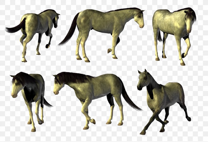 Mustang Akhal-Teke Horses Stallion Mare, PNG, 3040x2087px, Mustang, Akhalteke, Animal, Animal Figure, Colt Download Free
