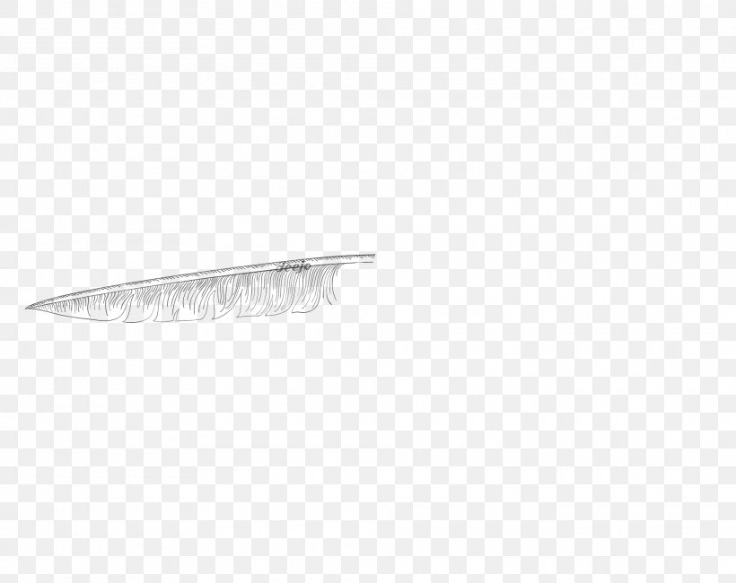 Product Design Feather Angle, PNG, 1920x1524px, Feather, Wing Download Free