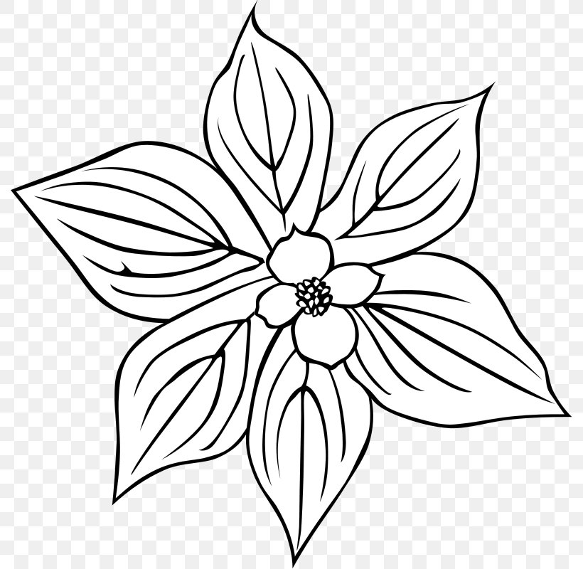 Flower Petal Clip Art, PNG, 790x800px, Flower, Area, Artwork, Black, Black And White Download Free