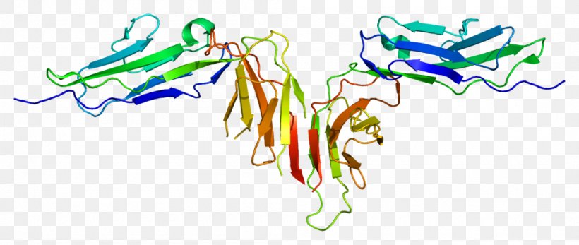 Glycoprotein Platelet Collagen GPVI Receptor, PNG, 1050x445px, Glycoprotein, Antibody, Art, Collagen, Fictional Character Download Free