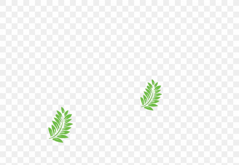 Leaf Plant Stem Font Line Tree, PNG, 1300x900px, Leaf, Grass, Green, Plant, Plant Stem Download Free