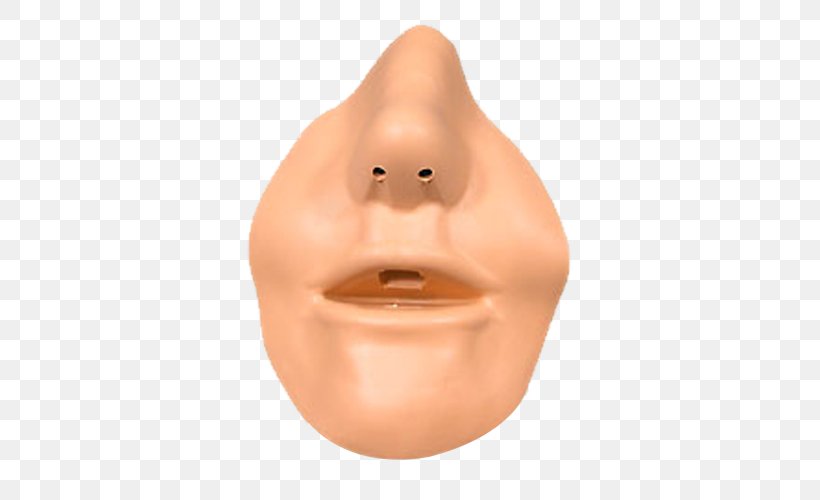 Nose Mouth Nostril Lip Chin, PNG, 500x500px, Nose, Bag Valve Mask, Chin, Dentist, Dentistry Download Free