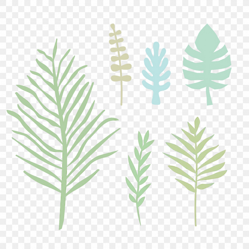 Palm Trees, PNG, 1440x1440px, Leaf, Biology, Grasses, Palm Trees, Plant Stem Download Free