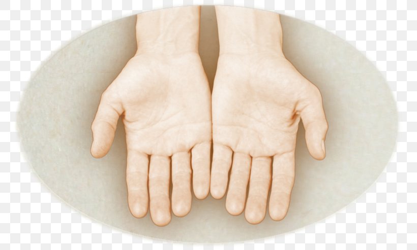 Thumb Hand Model, PNG, 771x493px, Thumb, Finger, Hand, Hand Model, Joint Download Free
