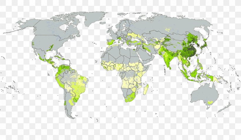 World Map Globe, PNG, 1000x582px, World, Atlas, Blank Map, Cartography, Country Download Free