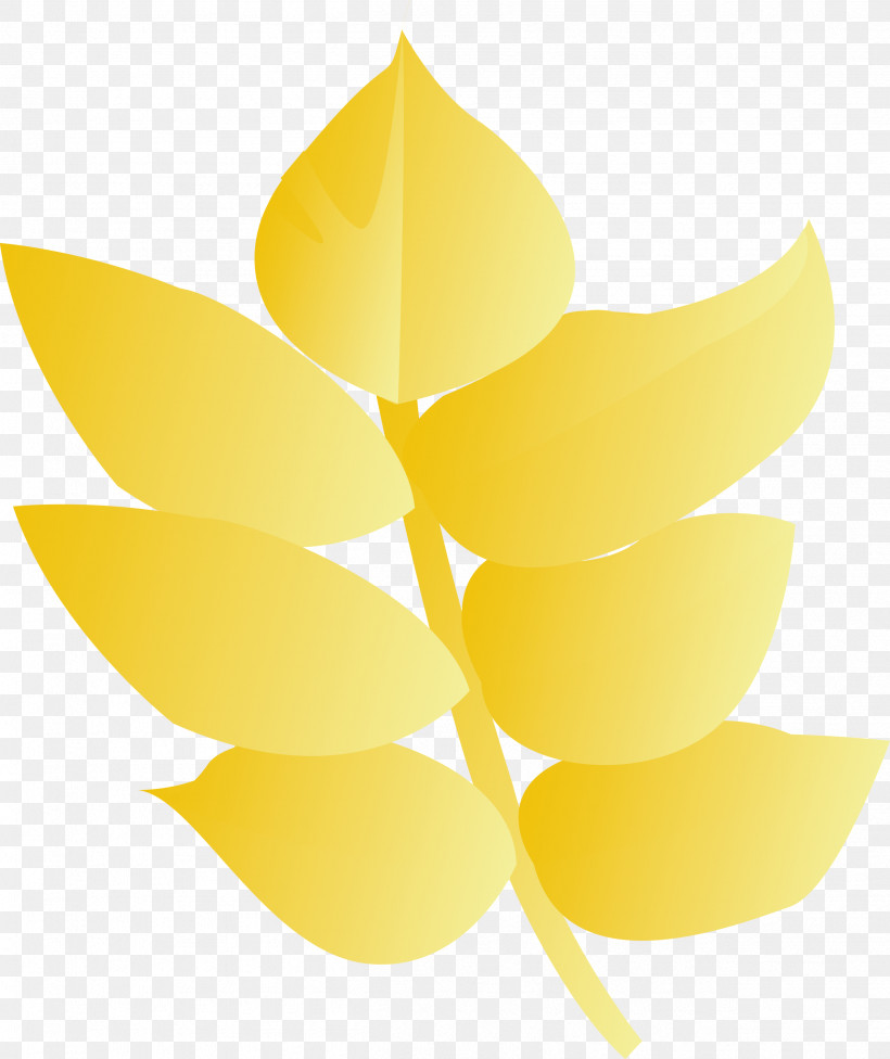 Yellow Leaf Plant Flower, PNG, 2519x3000px, Yellow, Flower, Leaf, Plant Download Free