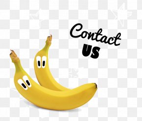Banana - Banana Nothing Naughty Ltd Whole Foods Market PNG