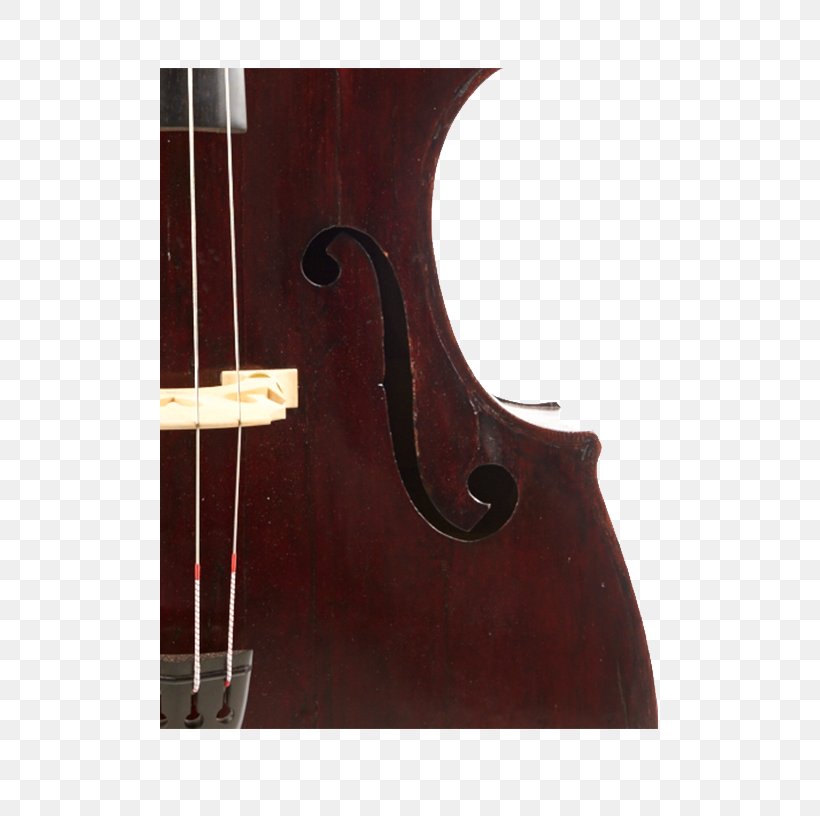 Bass Violin Double Bass Violone Viola Octobass, PNG, 500x816px, Bass Violin, Acoustic Electric Guitar, Bass, Bass Guitar, Bowed String Instrument Download Free