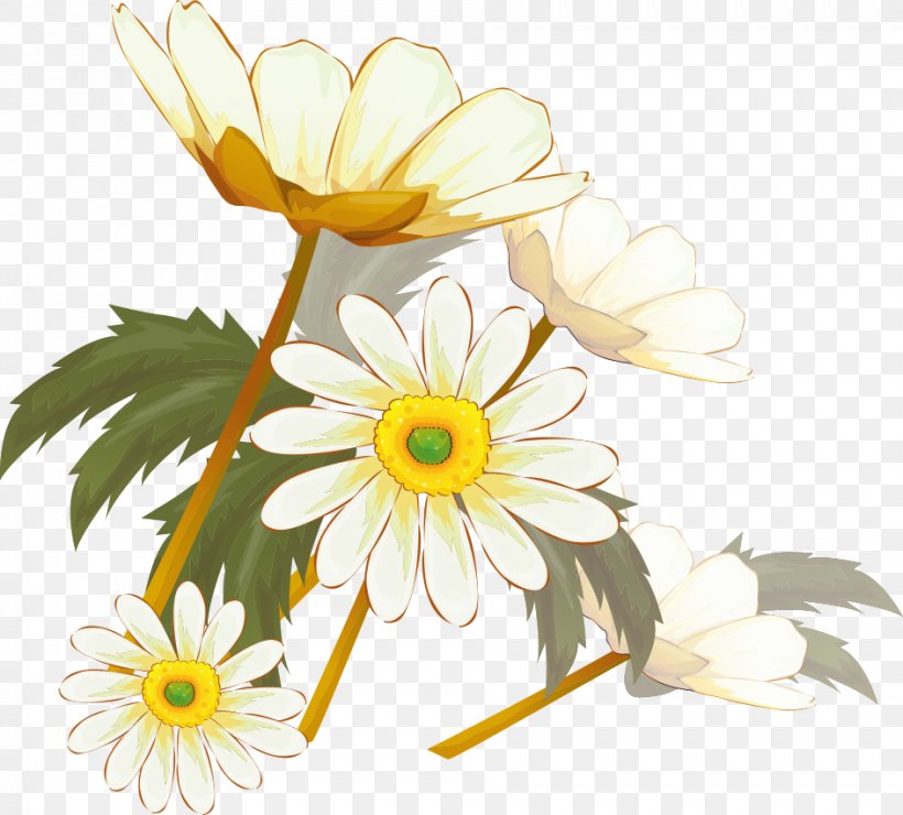 Chrysanthemum Xd7grandiflorum Flowering Tea Oxeye Daisy Feverfew, PNG, 943x851px, Chrysanthemum Xd7grandiflorum, Chrysanthemum, Chrysanths, Cut Flowers, Dahlia Download Free