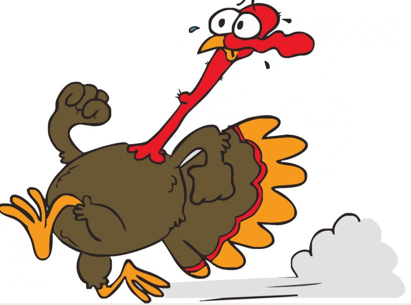 Thanksgiving Day CrossFit Physical Exercise Physical Fitness, PNG, 1201x892px, Thanksgiving, Area, Artwork, Beak, Bird Download Free