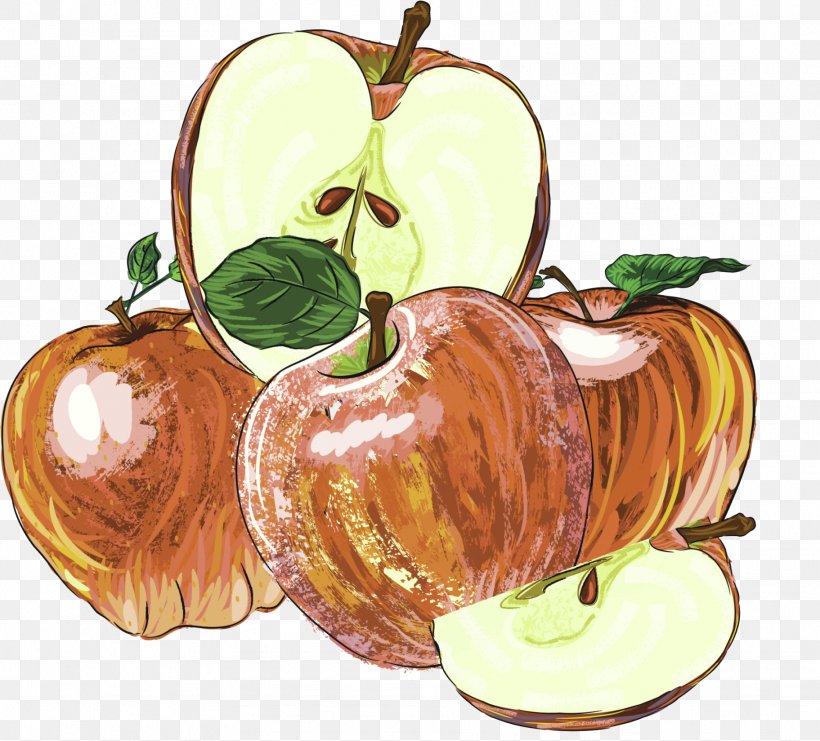 Apple Drawing, PNG, 1823x1648px, Apple, Coreldraw, Drawing, Food, Fruit Download Free