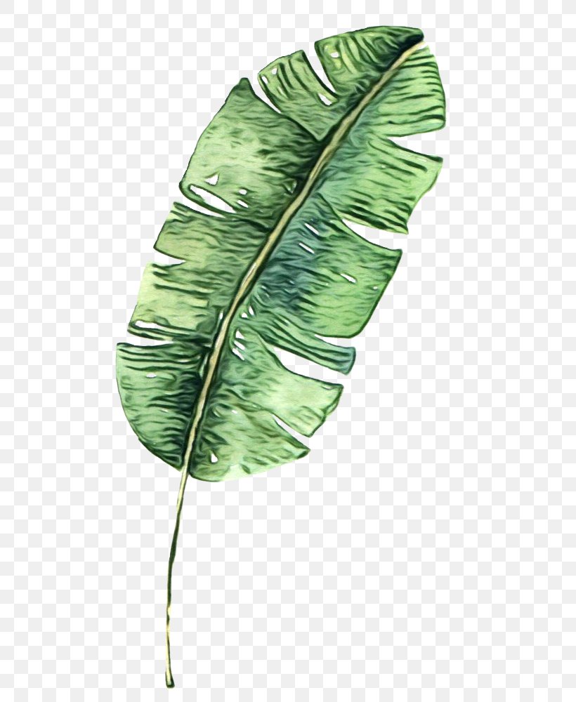 Banana Leaf, PNG, 600x1000px, Watercolor, Art, Banana Leaf, Bathing, Botany Download Free