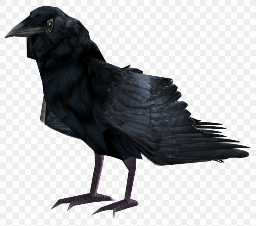Fallout 4 American Crow Common Raven Bird Fish Crow, PNG, 1020x900px, Fallout 4, American Crow, Beak, Bird, Common Raven Download Free