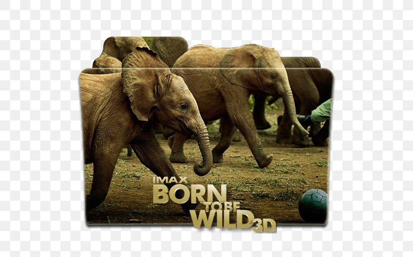 Film Poster Hollywood Documentary Film, PNG, 512x512px, Film, African Elephant, Born To Be Wild, Cinema, Cinematography Download Free