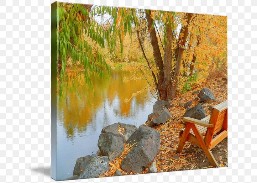 Gallery Wrap Fauna Art Canvas Pond, PNG, 650x584px, Gallery Wrap, Art, Autumn, Canvas, Fauna Download Free
