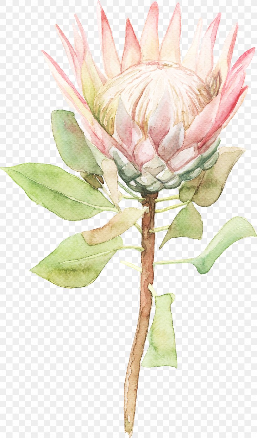 Watercolor Painting Flower, PNG, 1776x3030px, Watercolor Painting, Cut Flowers, Floral Design, Floristry, Flower Download Free