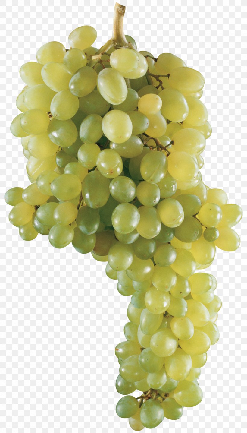 Wine Grape Fruit Clip Art, PNG, 1000x1752px, 3d Computer Graphics, Wine, Food, Fruit, Grape Download Free