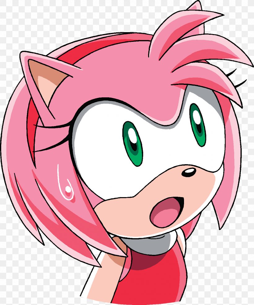 Amy Rose Sonic The Hedgehog Sonic & Sega All-Stars Racing Sonic Unleashed Sonic Free Riders, PNG, 1281x1538px, Watercolor, Cartoon, Flower, Frame, Heart Download Free