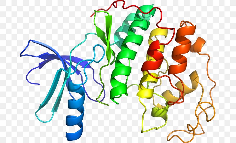 Cyclin-dependent Kinase 2 Protein Kinase, PNG, 681x500px, Cyclindependent Kinase 2, Artwork, Cdkactivating Kinase, Cell Cycle, Cyclin Download Free