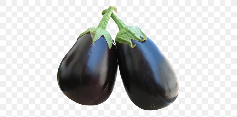 Eggplant Baingan Bharta Bhaji Fruit, PNG, 500x405px, Eggplant, Auglis, Baingan Bharta, Bhaji, Chutney Download Free