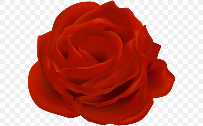 Garden Roses Blue Rose Clip Art, PNG, 600x512px, Garden Roses, Blue Rose, Cut Flowers, Dark, Flower Download Free