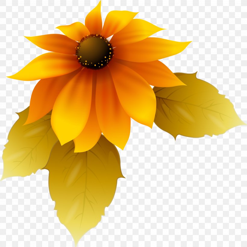 Petal, PNG, 4793x4793px, Petal, Daisy Family, Flower, Flowering Plant, Orange Download Free