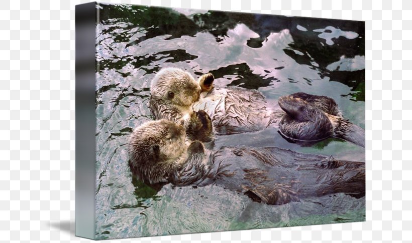 Sea Otter Marine Mammal Canvas Print Paper, PNG, 650x485px, Sea Otter, Art, Canvas, Canvas Print, Fauna Download Free