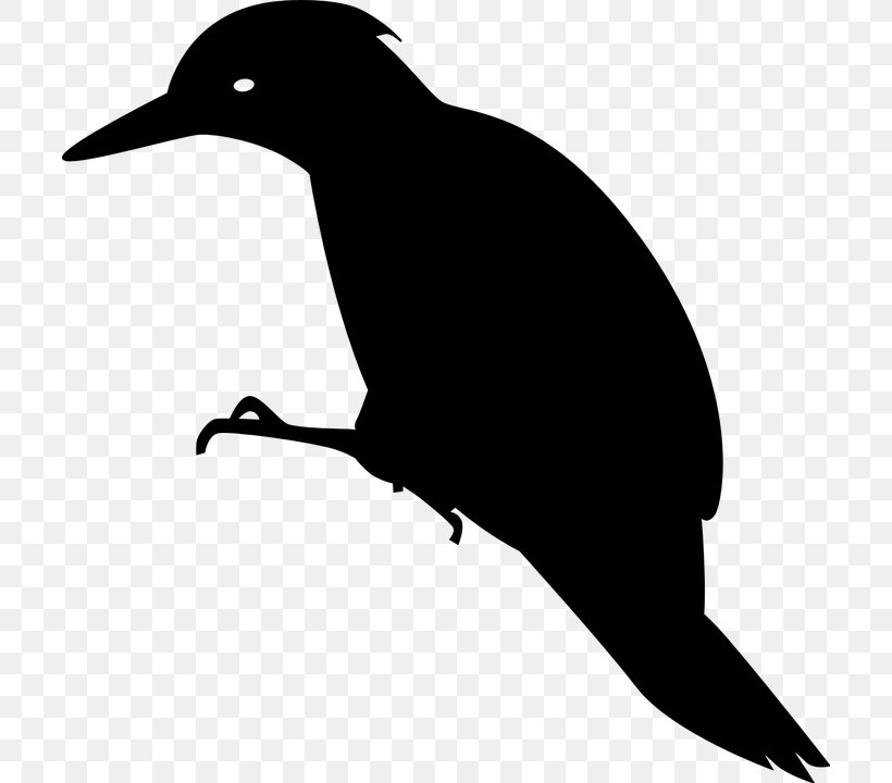 Woody Woodpecker Clip Art, PNG, 706x720px, Woody Woodpecker, Beak, Bird, Black And White, Downy Woodpecker Download Free