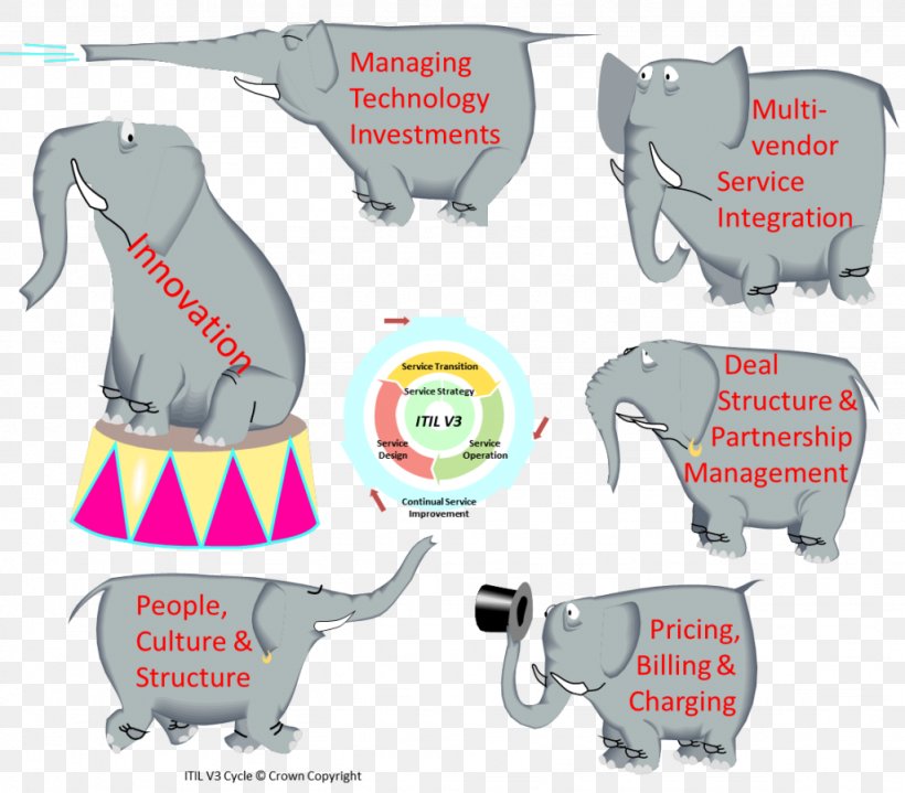elephant reproduction cycle