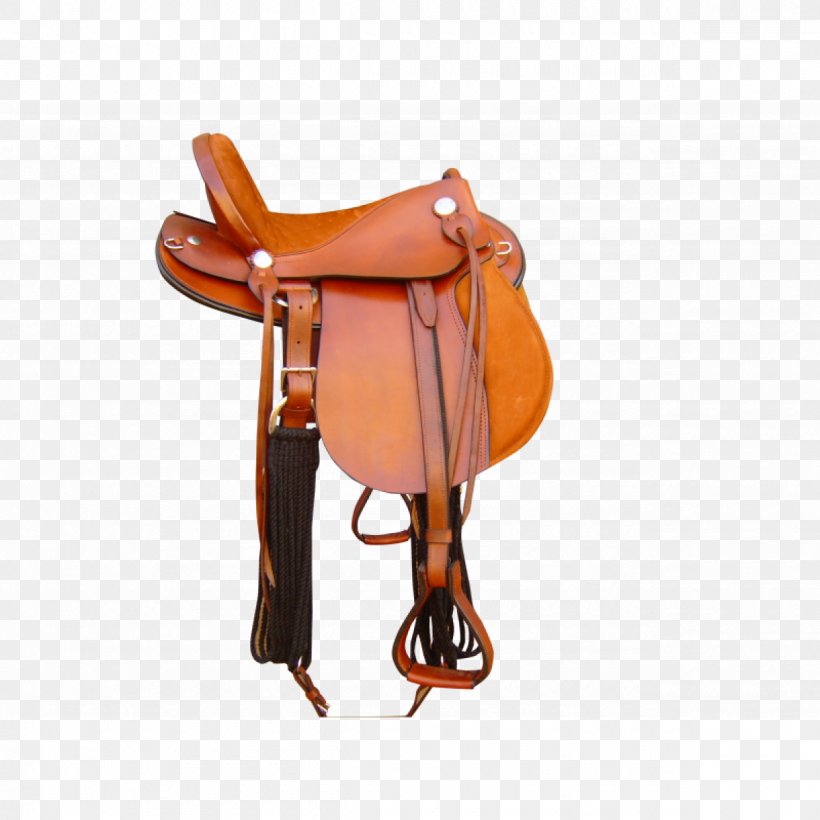 Horse Saddle Rein Bridle Dog, PNG, 1200x1200px, Horse, Bridle, Cat, Clothing Accessories, Dietary Supplement Download Free