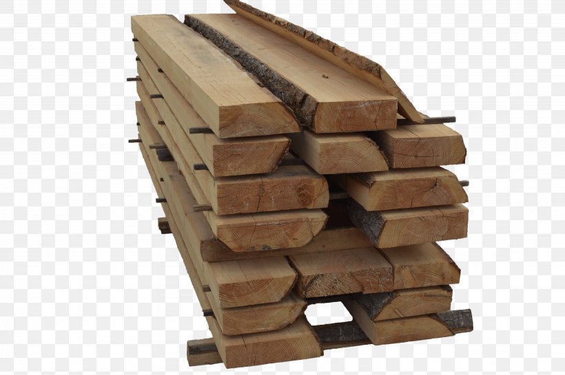 Lumber Wood Trunk Jordi Giribets, Fusta Bark, PNG, 4512x3000px, Lumber, Bark, Catalog, Hardwood, Information Download Free