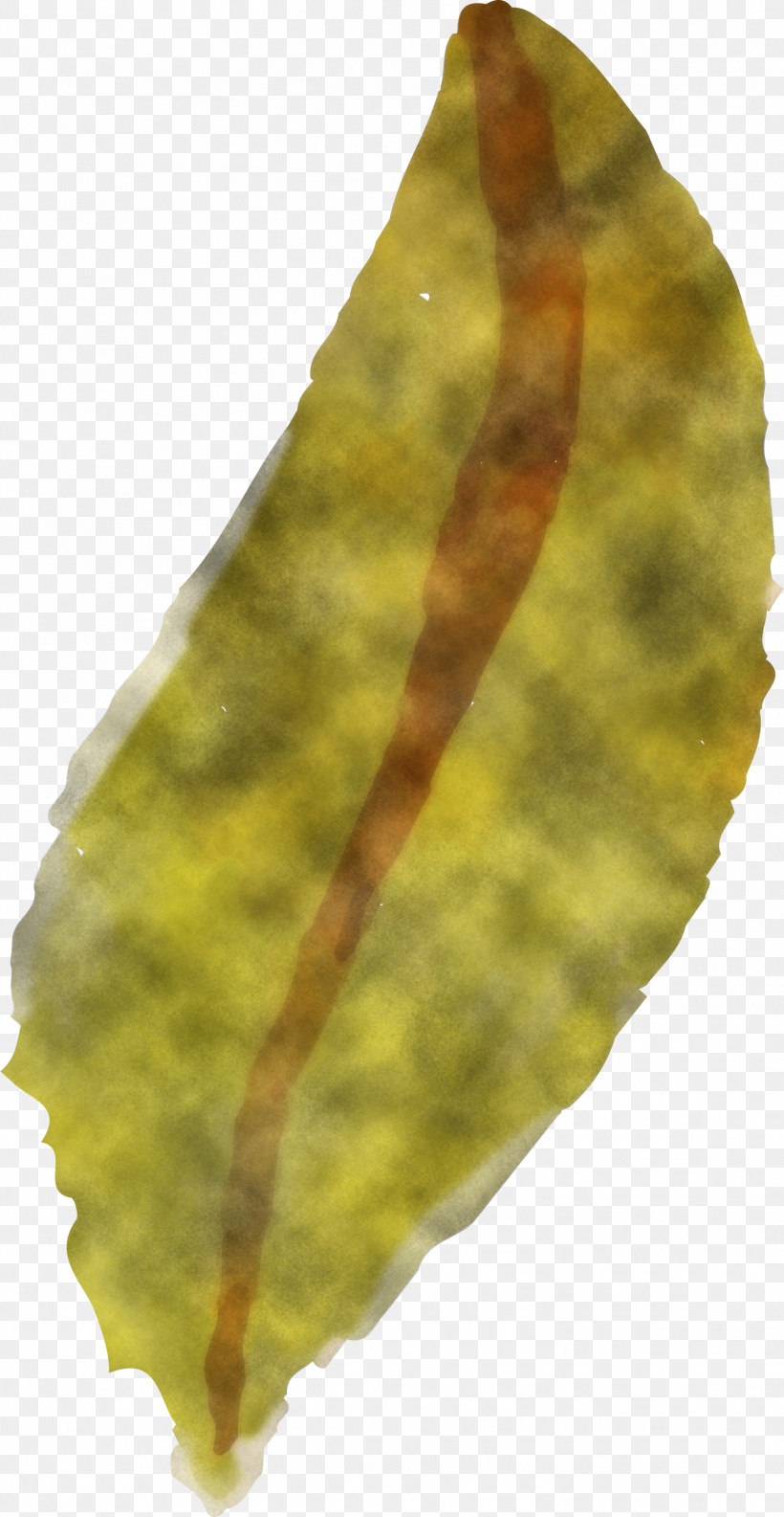 Plant Pathology Leaf Pathology Plants Biology, PNG, 1552x3000px, Watercolor Autumn, Biology, Leaf, Pathology, Plant Pathology Download Free