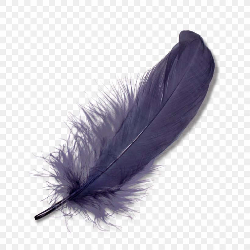 Feather Bird, PNG, 1120x1120px, Feather, Bird, Color, Quill, Wing Download Free